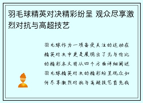 羽毛球精英对决精彩纷呈 观众尽享激烈对抗与高超技艺